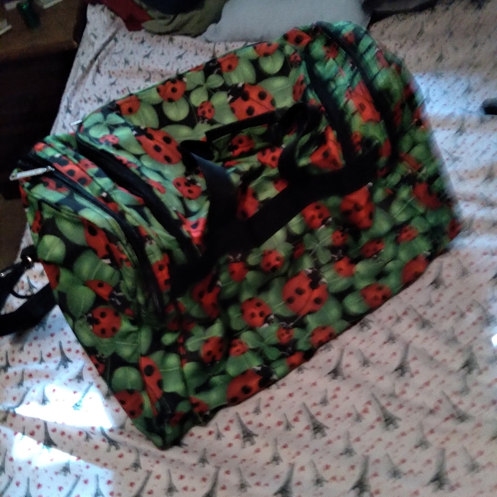 Duffle/carry on bag